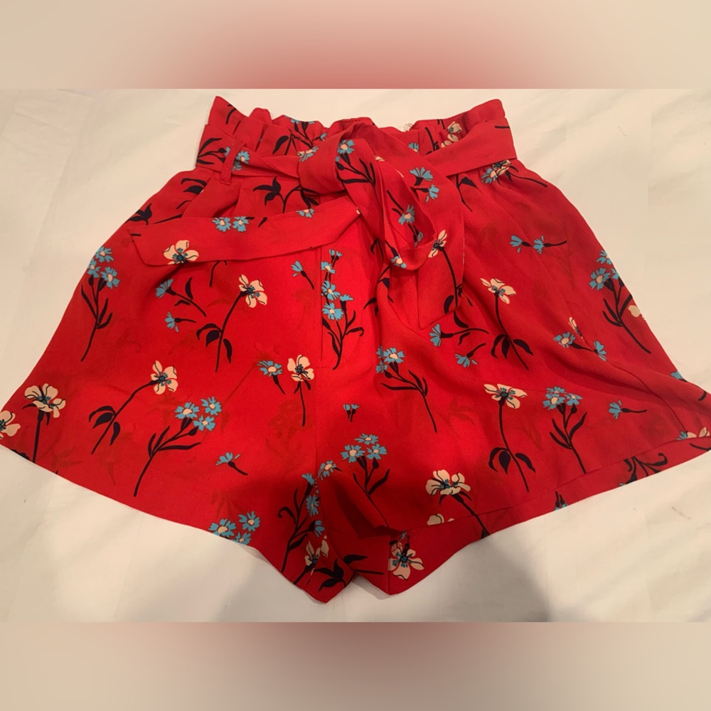 Zara Shorts